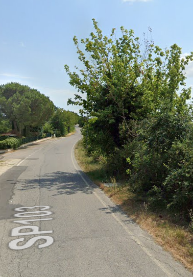 immagine annuncio 2 di 9