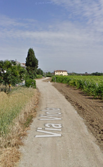 immagine annuncio 4 di 9