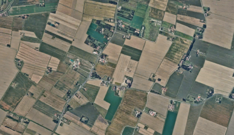 immagine annuncio 9 di 10