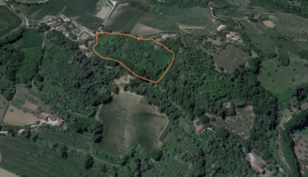 immagine annuncio 4 di 10