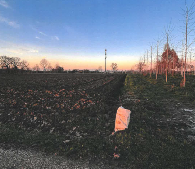 immagine annuncio 1 di 10