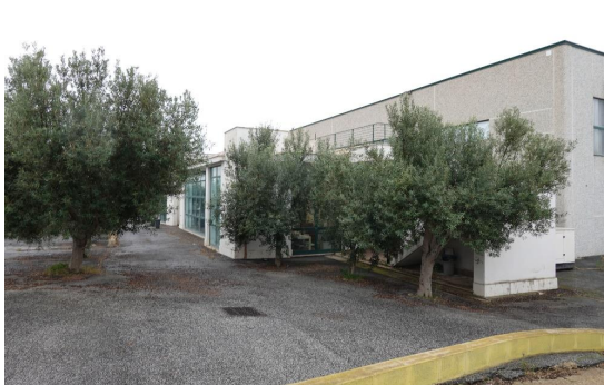 immagine annuncio 6 di 10