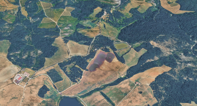 immagine annuncio 7 di 10