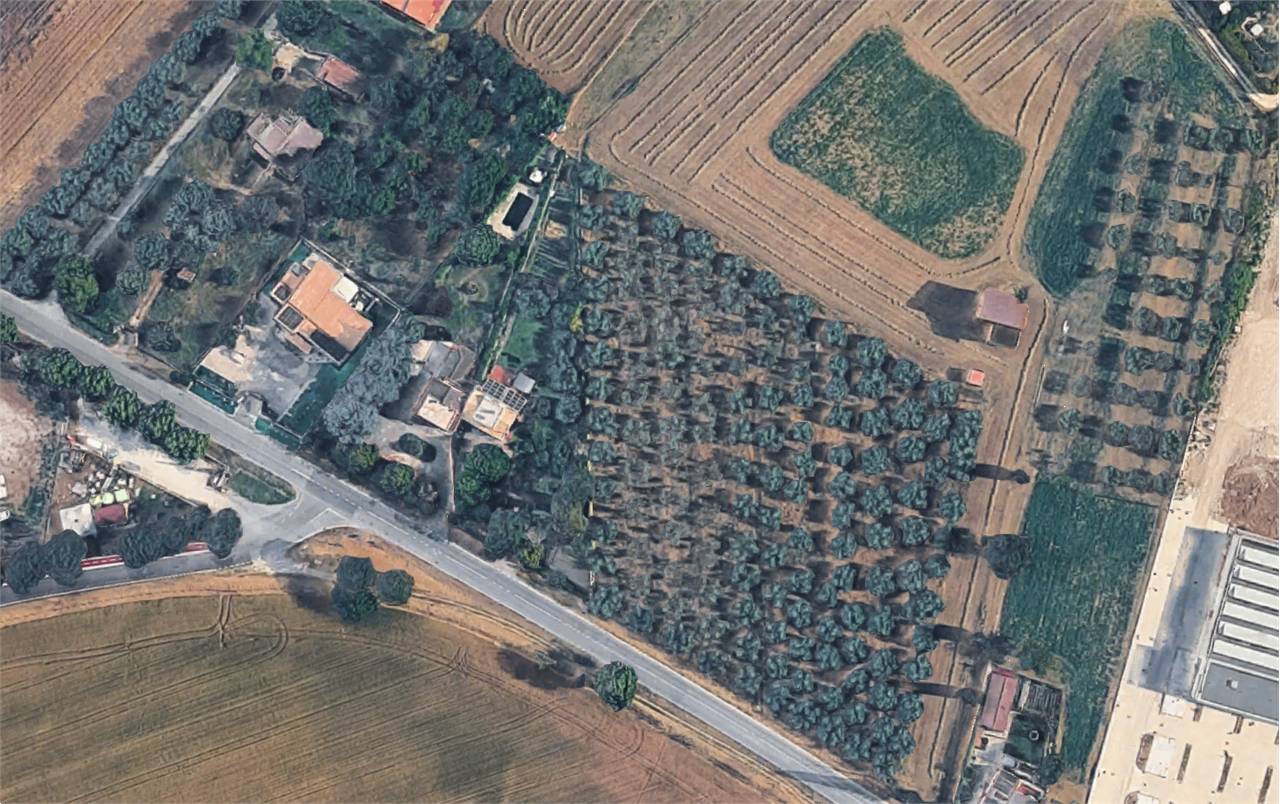 immagine annuncio 8 di 10