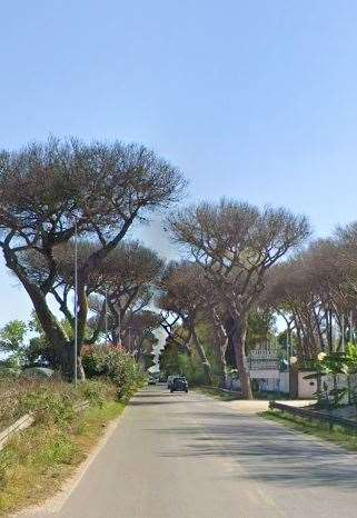 immagine annuncio 3 di 10