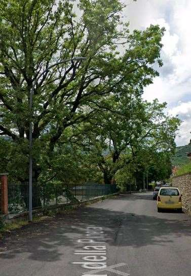 immagine annuncio 2 di 10