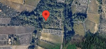 immagine annuncio 3 di 8