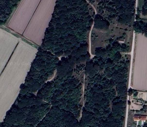 immagine annuncio 8 di 10