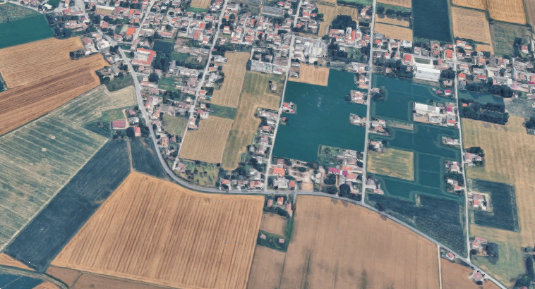 immagine annuncio 1 di 10