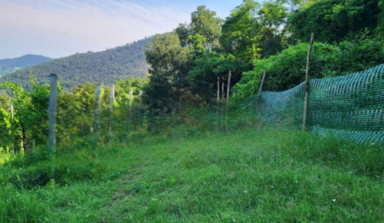 immagine annuncio 8 di 10