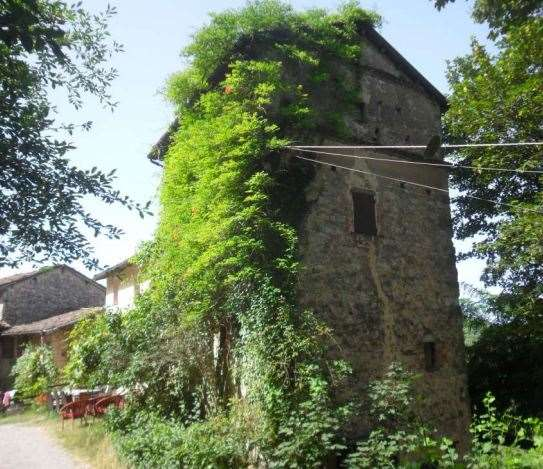 immagine annuncio 1 di 10