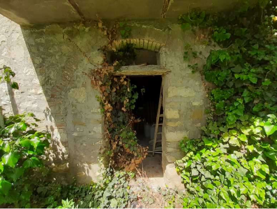 immagine annuncio 5 di 10