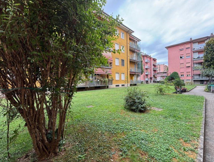 immagine annuncio 1 di 10