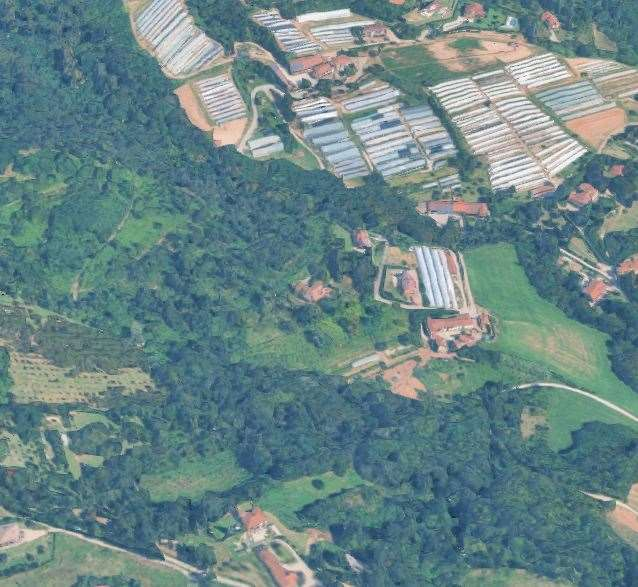 immagine annuncio 9 di 10