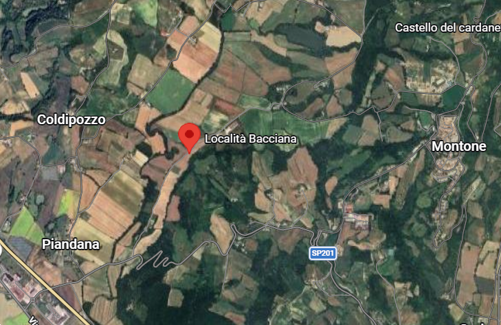 immagine annuncio 6 di 10