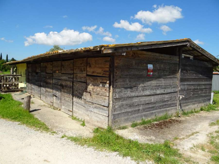 immagine annuncio 7 di 10