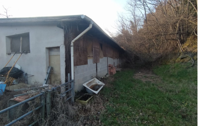 immagine annuncio 3 di 10