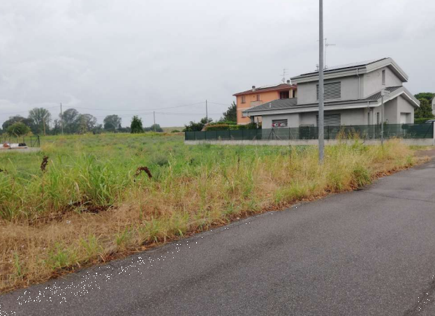 immagine annuncio 1 di 8