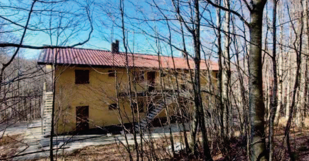 immagine annuncio 2 di 10