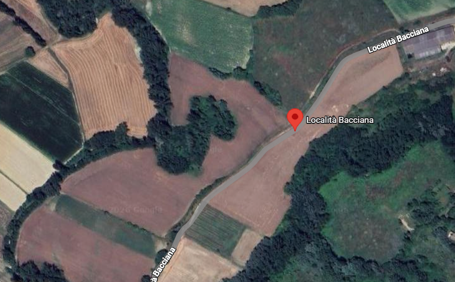 immagine annuncio 4 di 10