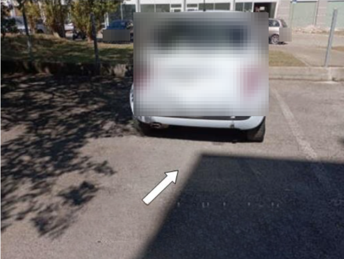 immagine annuncio 2 di 10