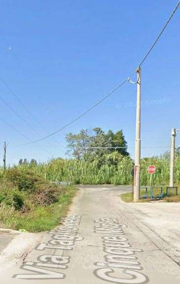 immagine annuncio 3 di 10