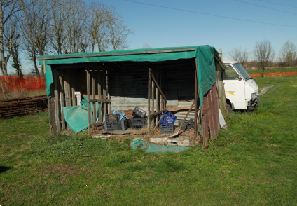 immagine annuncio 6 di 10