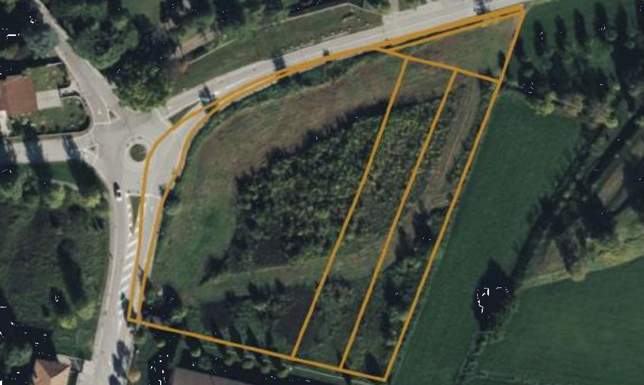 immagine annuncio 1 di 10