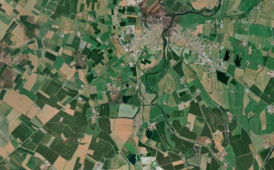 immagine annuncio 5 di 9