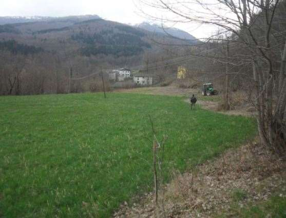 immagine annuncio 1 di 10