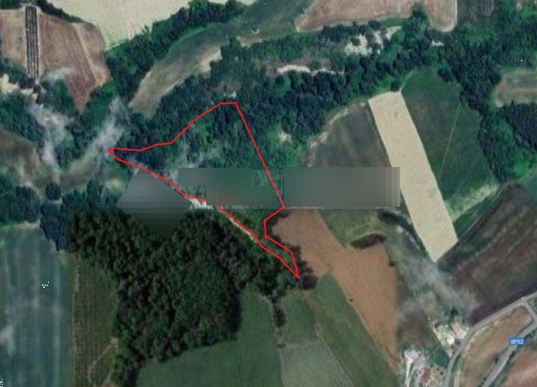 immagine annuncio 2 di 10