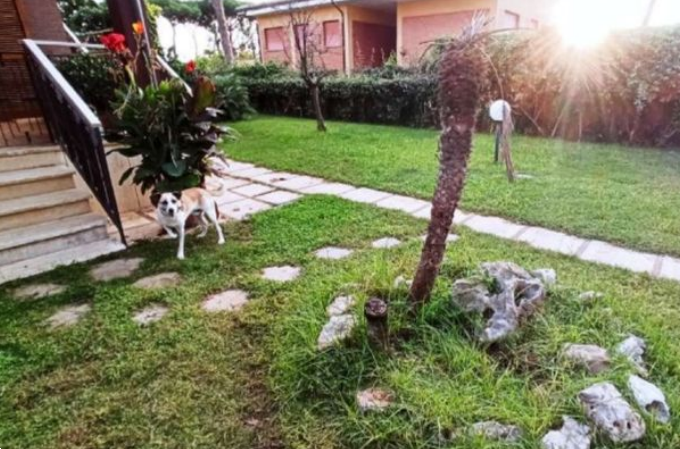 immagine annuncio 9 di 10