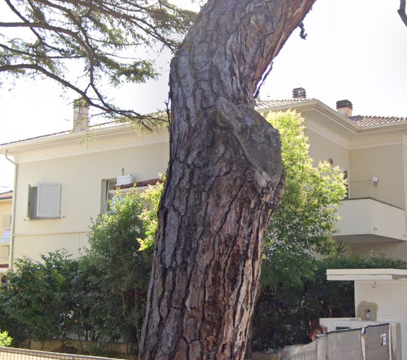 immagine annuncio 4 di 10