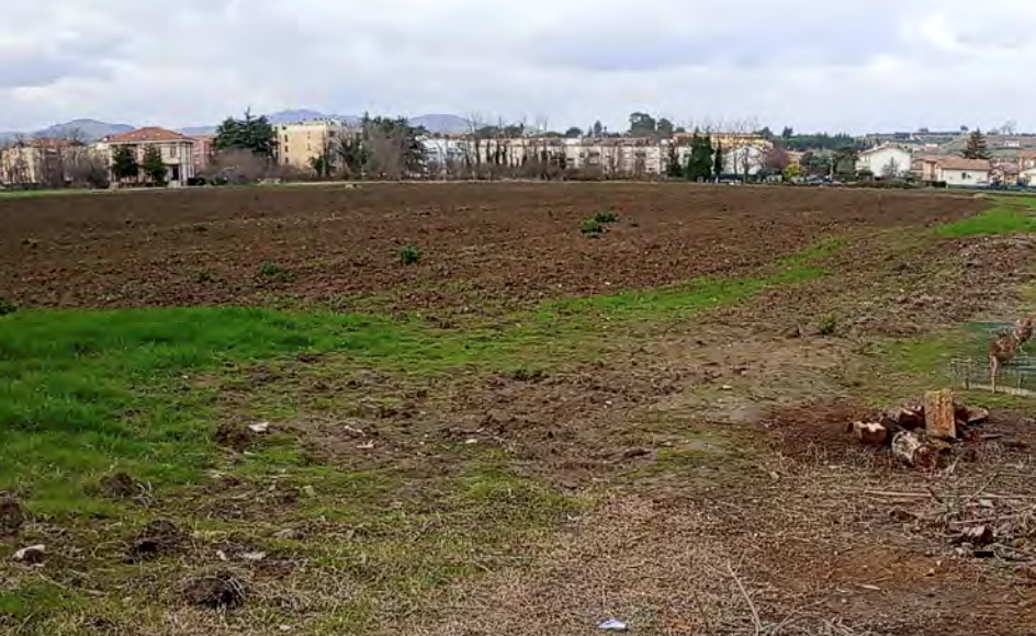 immagine annuncio 2 di 9