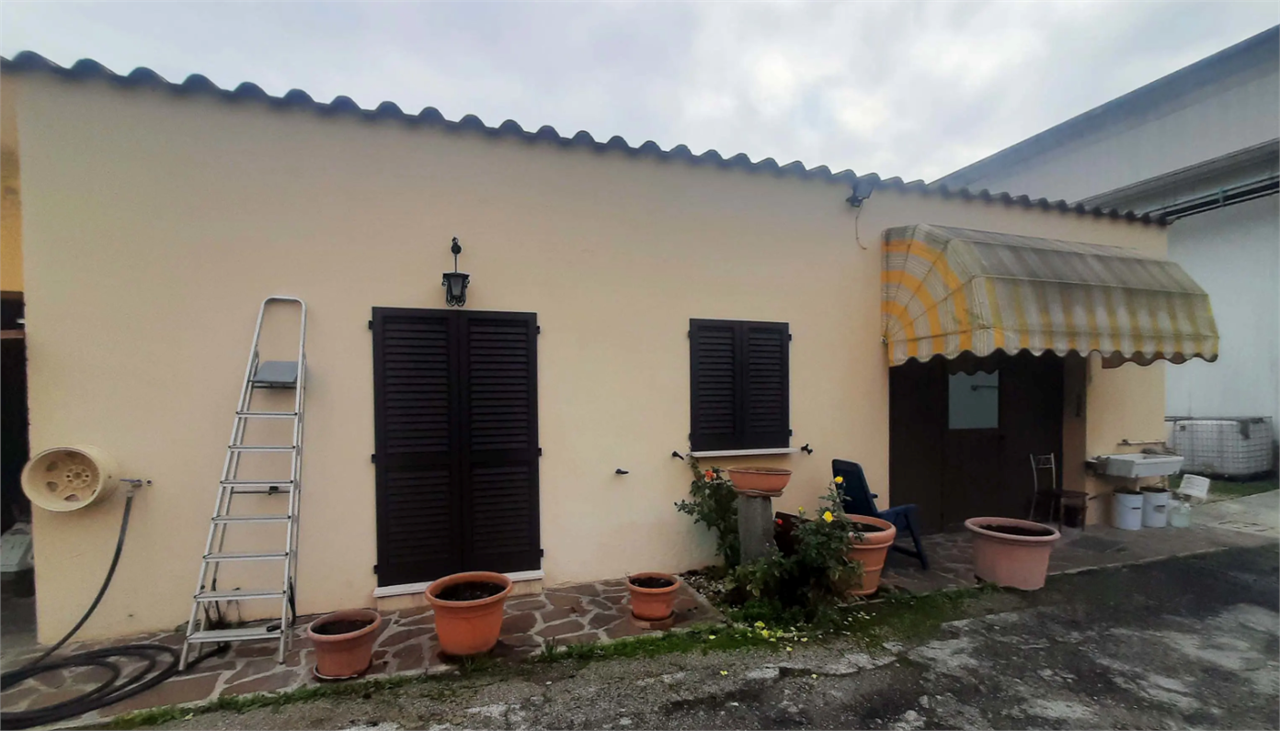 immagine annuncio 2 di 10