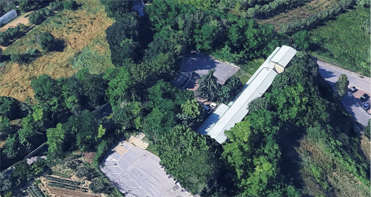 immagine annuncio 6 di 10