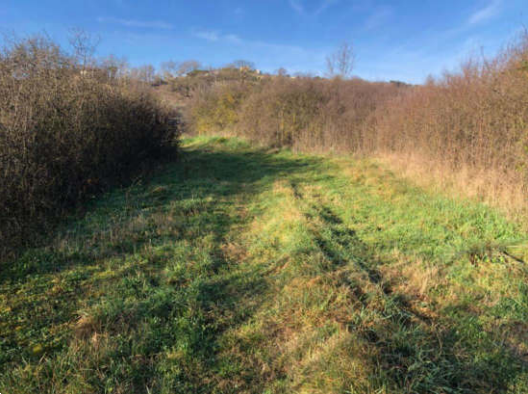 immagine annuncio 6 di 10