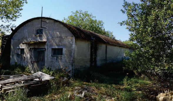 immagine annuncio 2 di 10