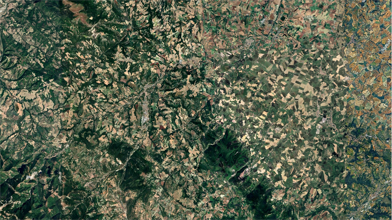 immagine annuncio 4 di 8