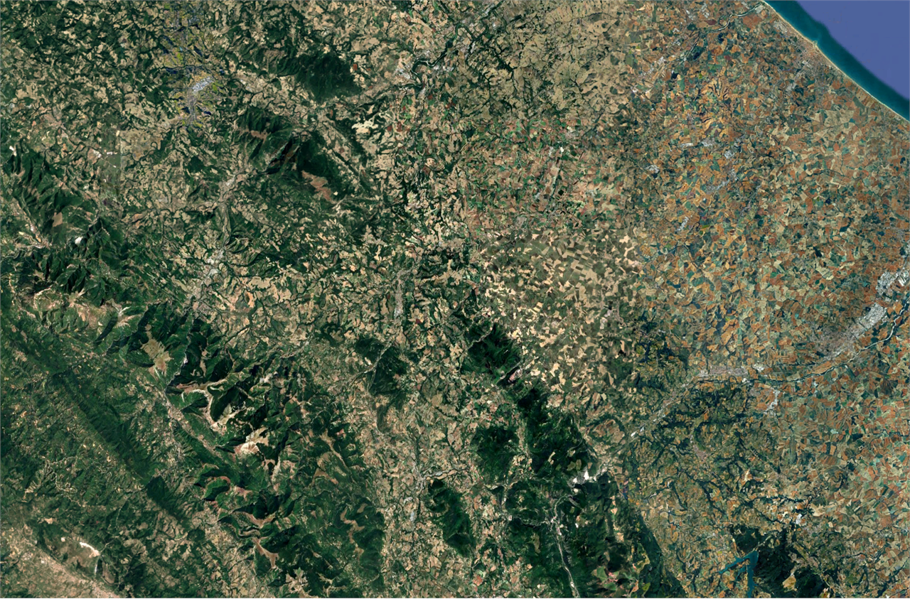 immagine annuncio 4 di 8