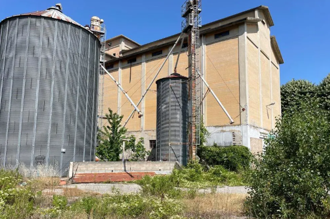 immagine annuncio 2 di 10