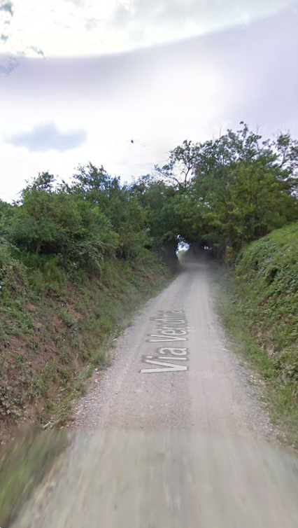 immagine annuncio 5 di 7