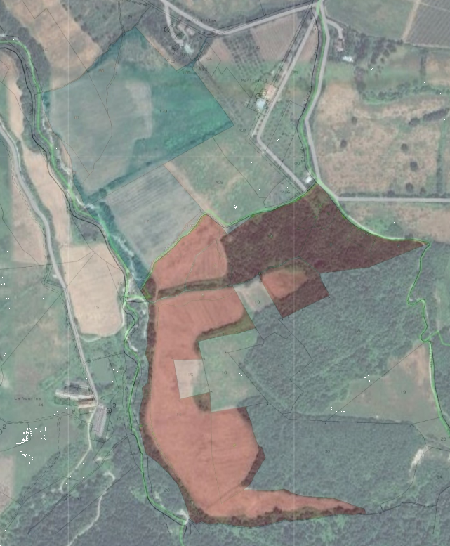 immagine annuncio 6 di 7