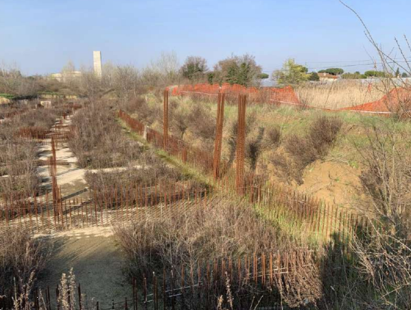 immagine annuncio 4 di 10