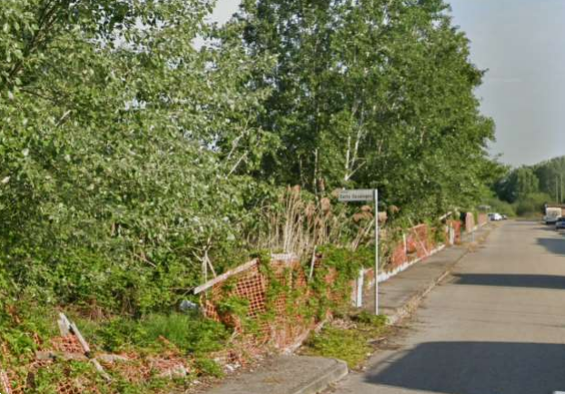 immagine annuncio 2 di 10