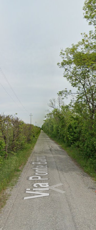 immagine annuncio 6 di 10