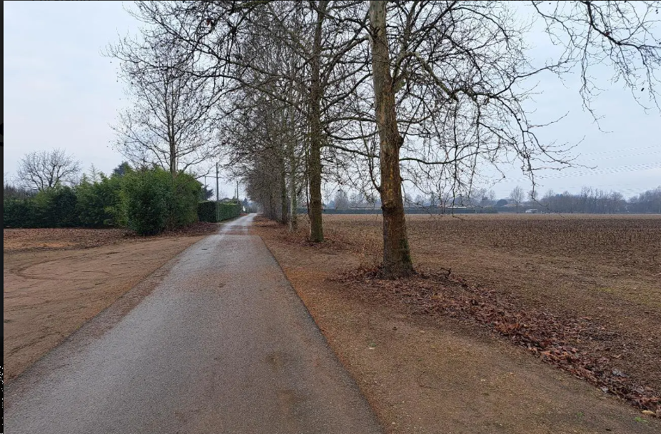 immagine annuncio 2 di 10