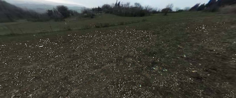 immagine annuncio 2 di 10