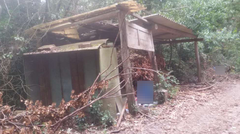 immagine annuncio 6 di 10