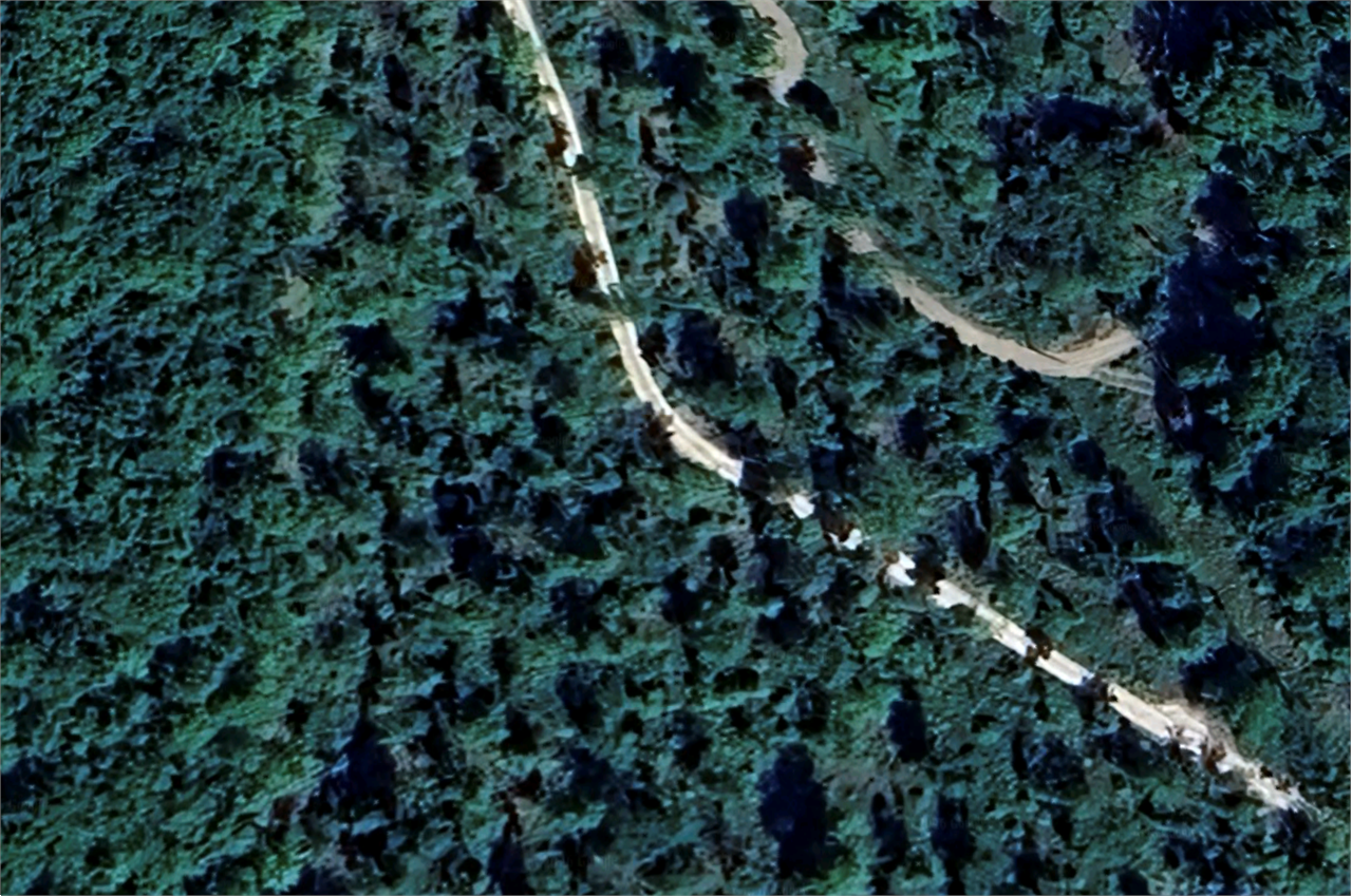 immagine annuncio 4 di 7